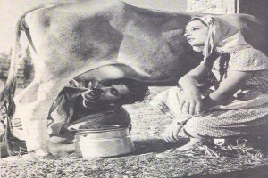 Susuz Yaz Fotoğrafı