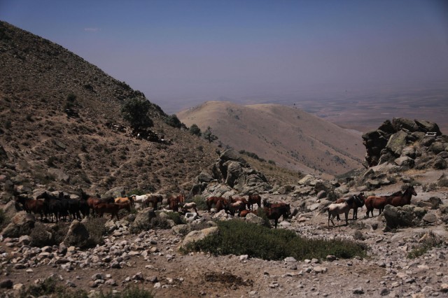 Mar Fotoğrafı