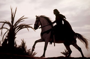 Cennetin Krallığı Fotoğrafı