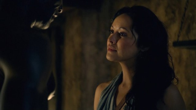 Spartacus: Gods Of The Arena Fotoğrafı