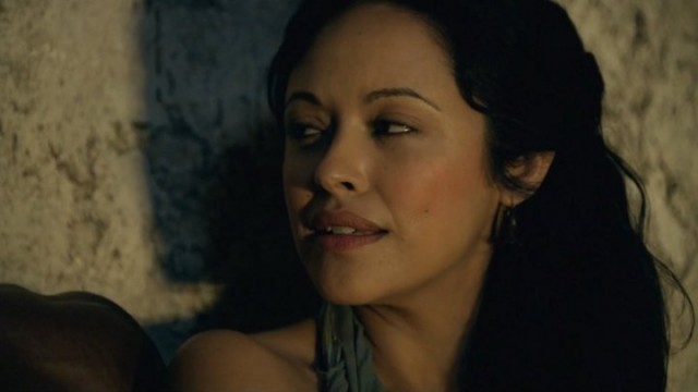 Spartacus: Gods Of The Arena Fotoğrafı